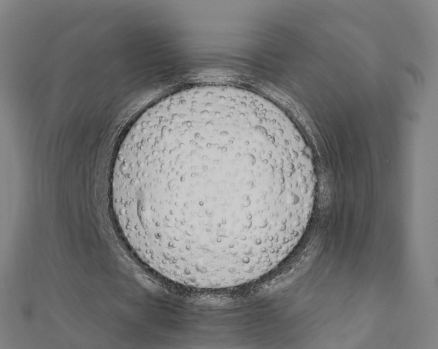 X0000111210529200908121134