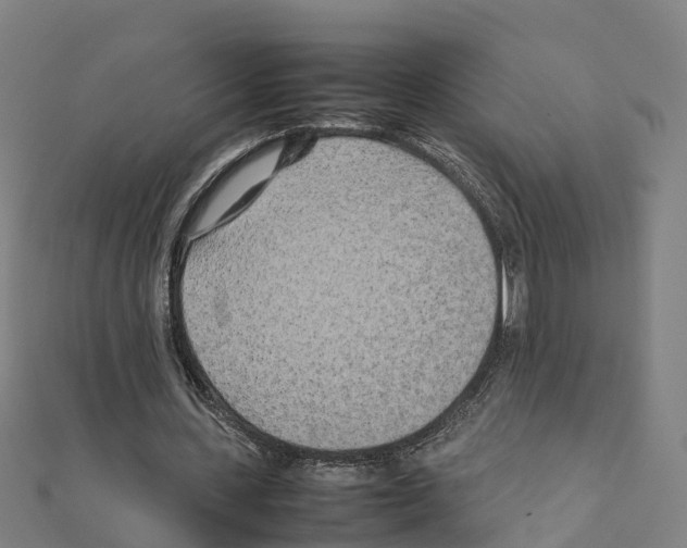 X0000111210531200908121134