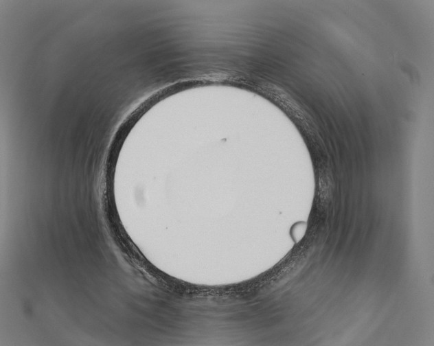 X0000111210532200908121134