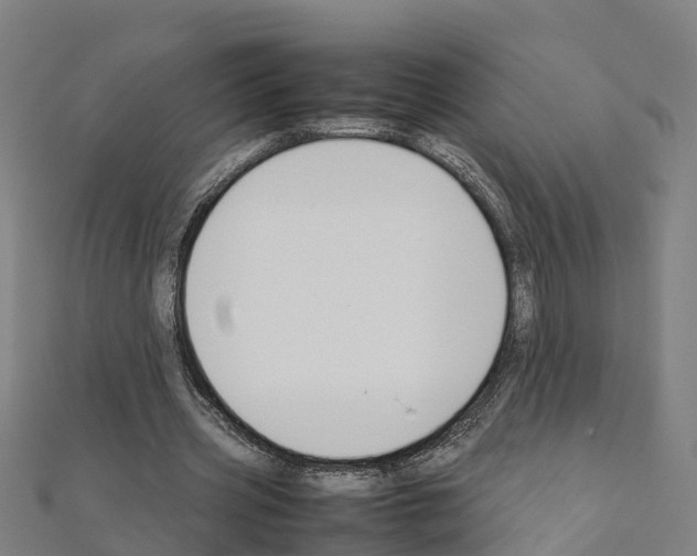 X0000111210533200908121134