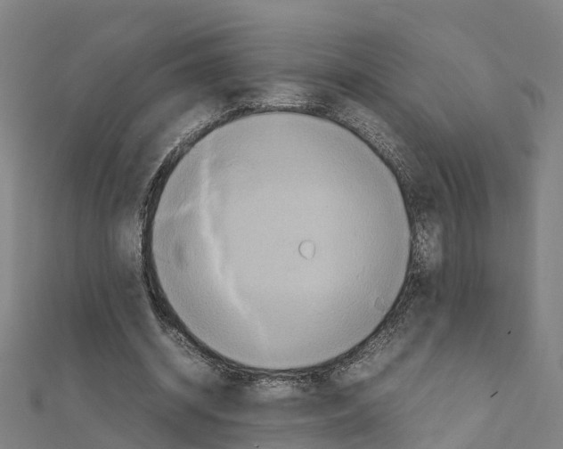 X0000111210534200908121134