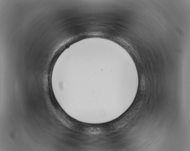 X0000111210535200908121134