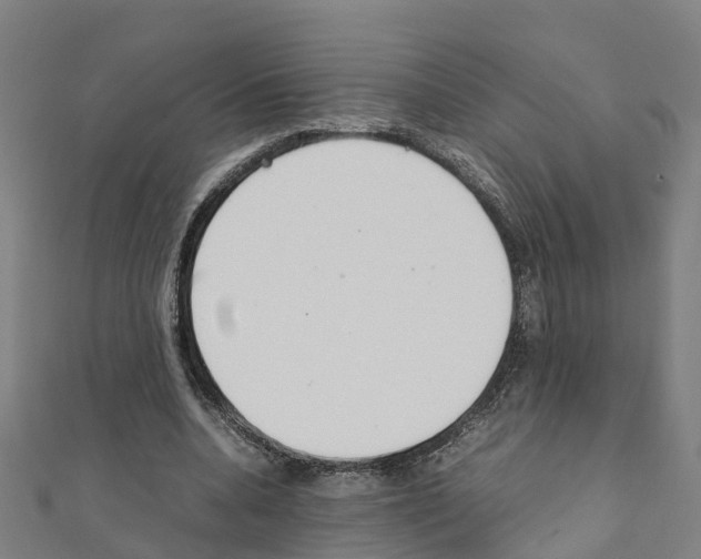 X0000111210536200908121134