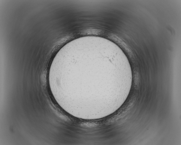 X0000111210537200908121134