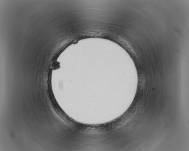 X0000111210538200908121134