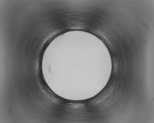 X0000111210539200908121134