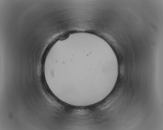 X0000111210540200908121134