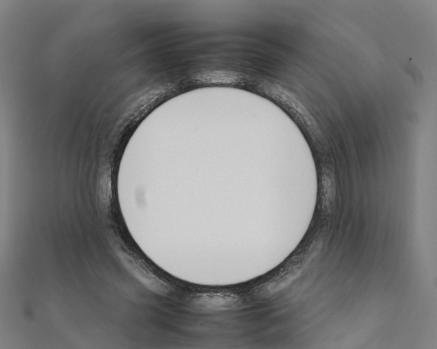 X0000111210541200908121134