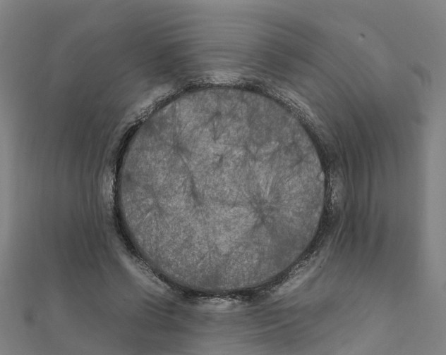 X0000111210542200908121134