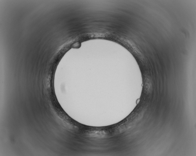 X0000111210543200908121134