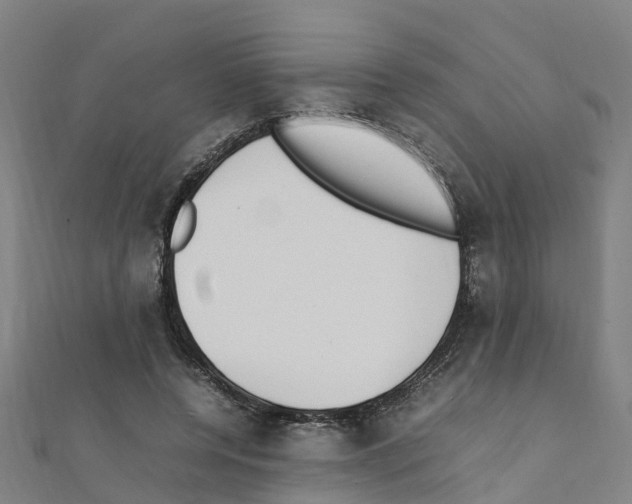 X0000111210544200908121134