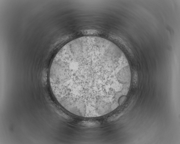 X0000111210545200908121134