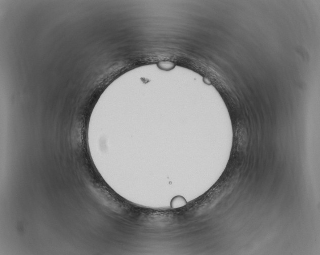 X0000111210546200908121134