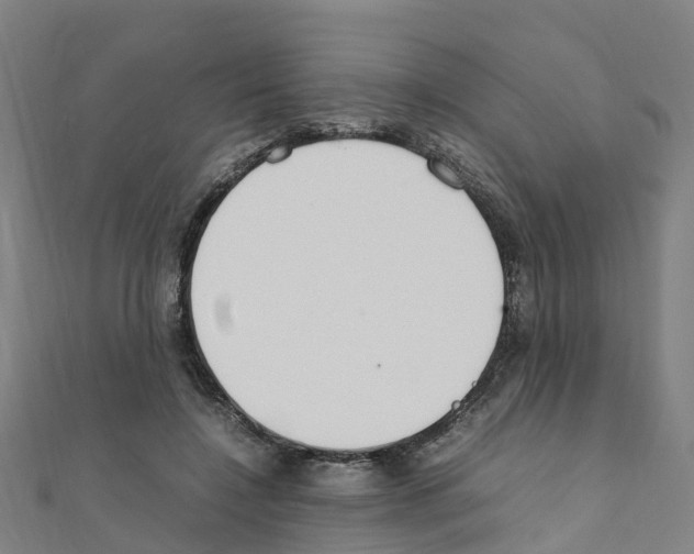 X0000111210548200908121134