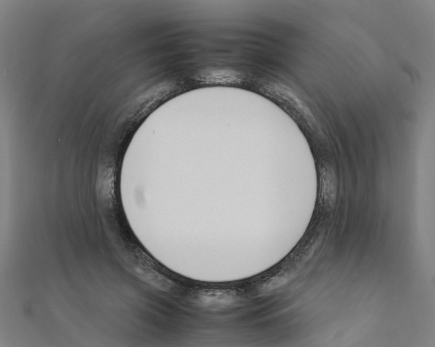 X0000111210549200908121134