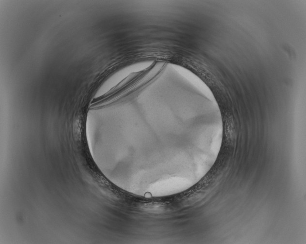 X0000111210551200908121134