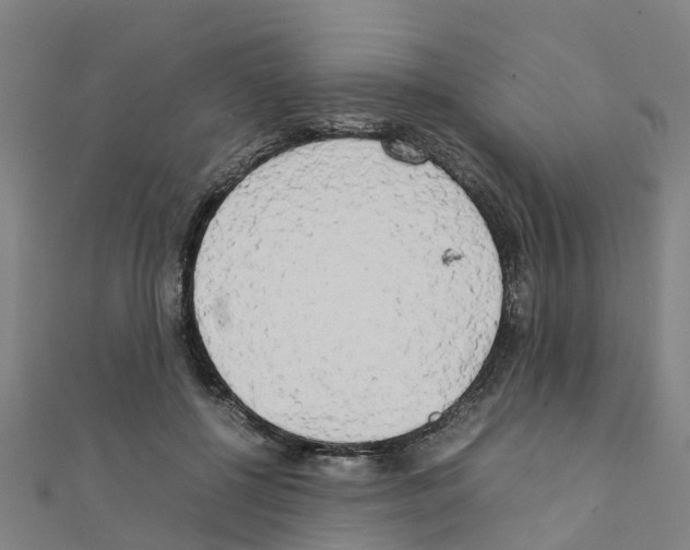 X0000111210552200908121134