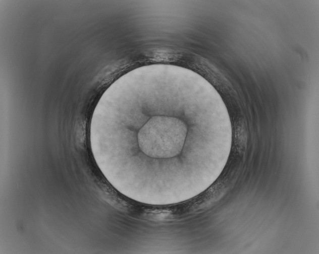 X0000111210554200908121134