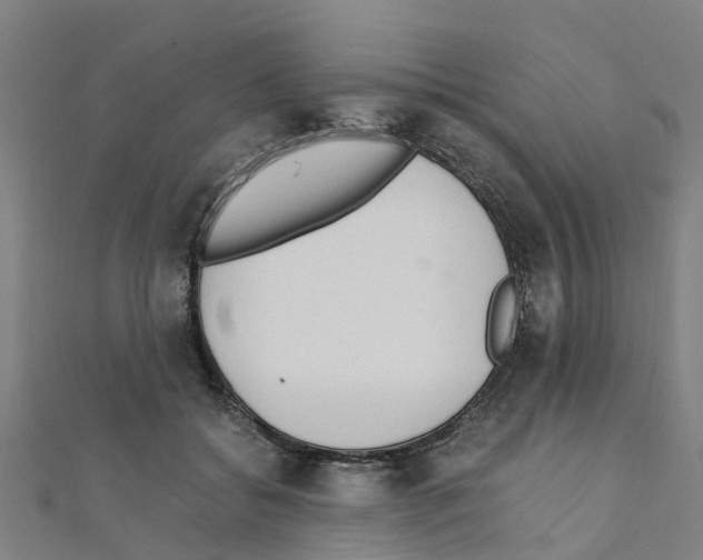 X0000111210556200908121135