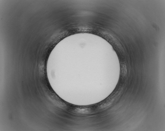 X0000111210557200908121135