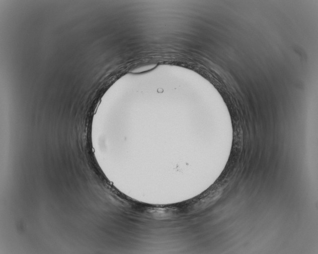 X0000111210558200908121135