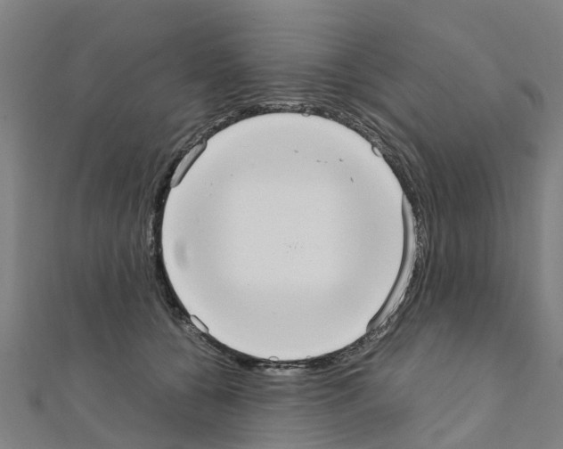 X0000111210560200908121135