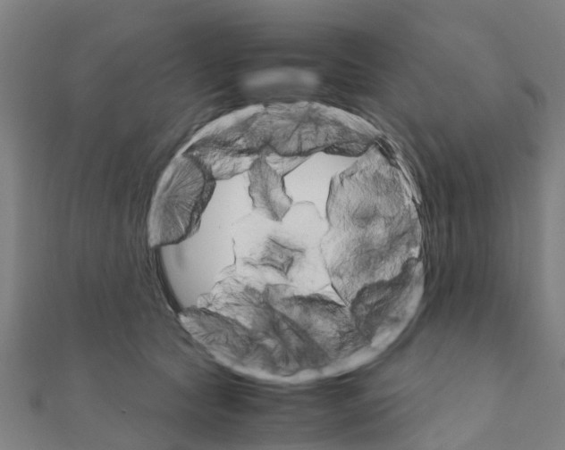 X0000111210561200908121135