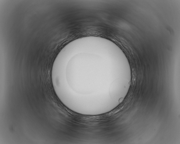 X0000111210563200908121135