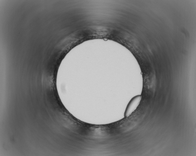 X0000111210564200908121135