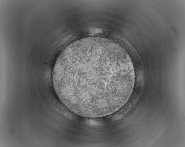 X0000111210565200908121135