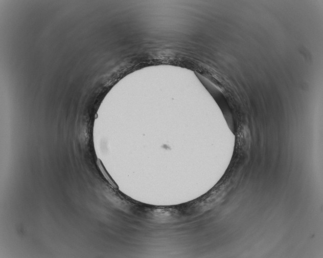 X0000111210566200908121135