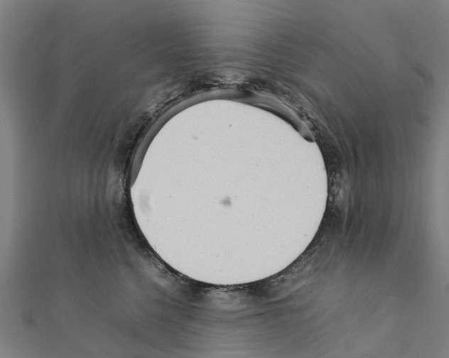 X0000111210568200908121135