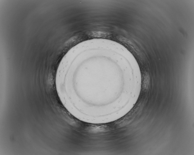 X0000111210569200908121135