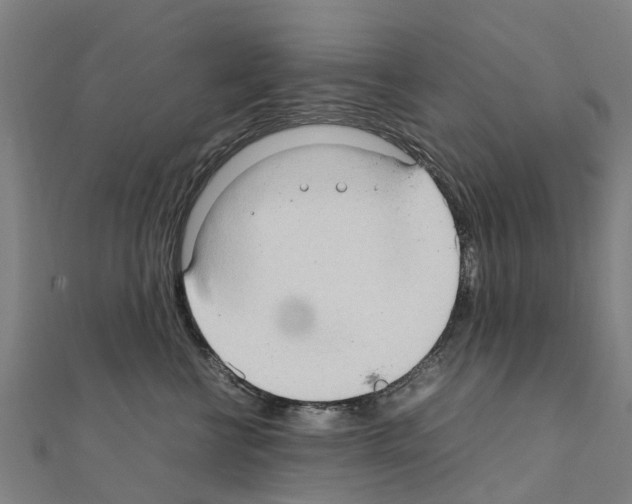 X0000111210570200908121135