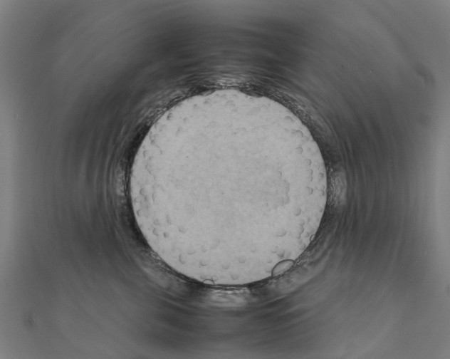 X0000111210571200908121135