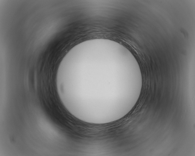 X0000111210572200908121135