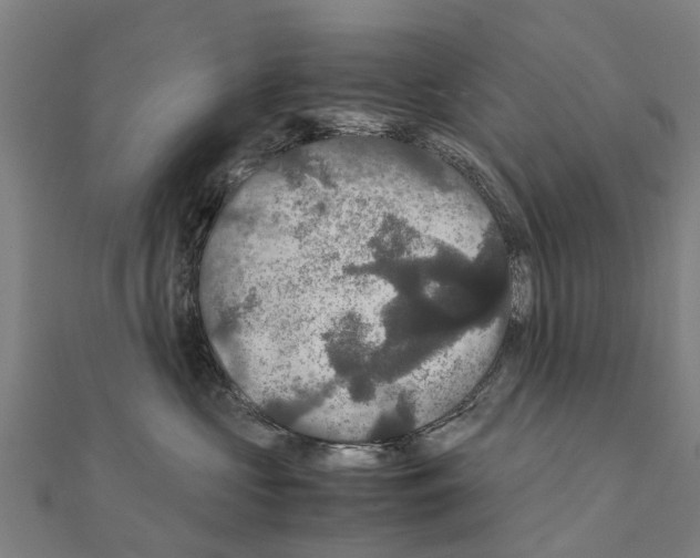 X0000111210573200908121135