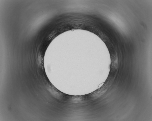 X0000111210574200908121135