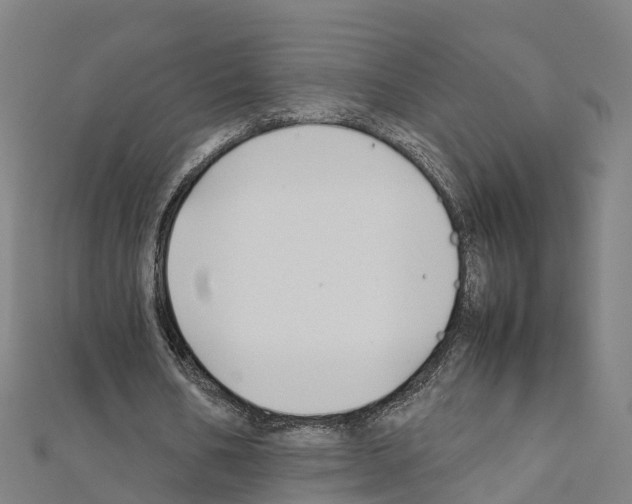 X0000111210578200908121134