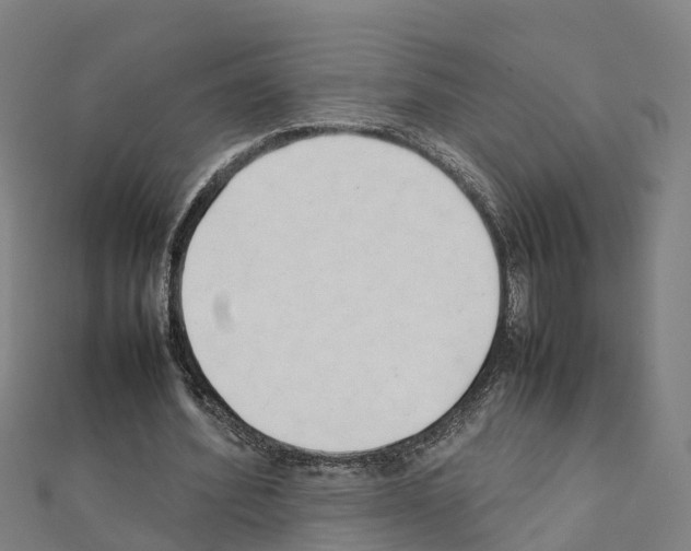 X0000111210580200908121134