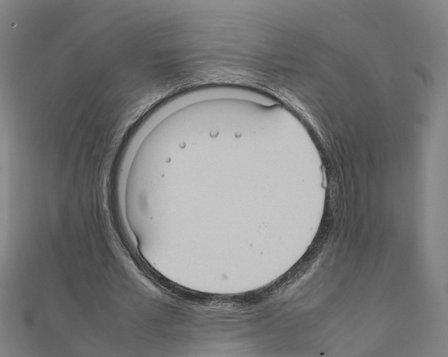 X0000111210581200908121134