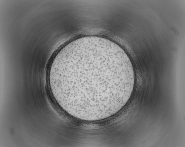 X0000111210582200908121134