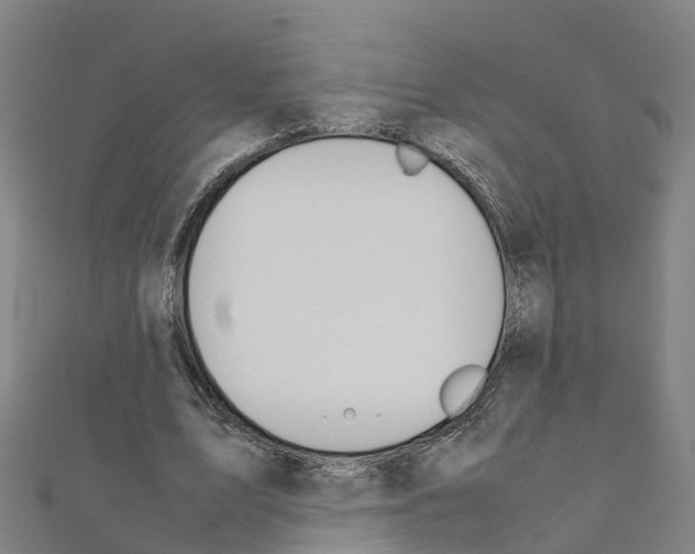 X0000111210583200908121134