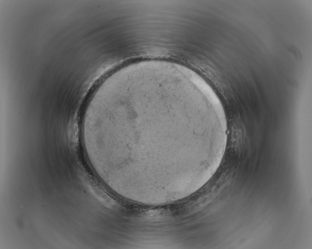 X0000111210584200908121134