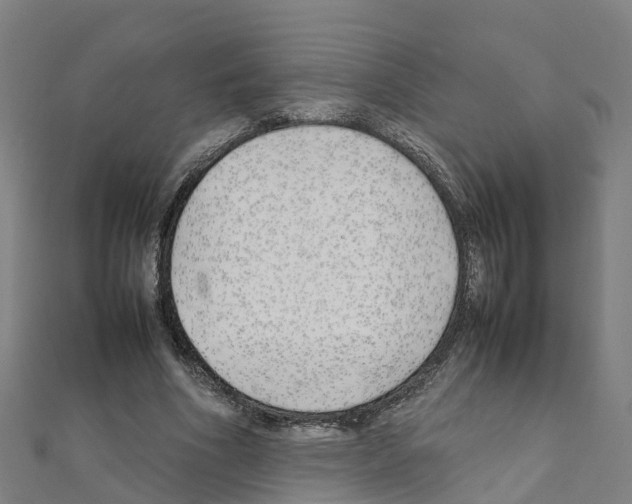 X0000111210586200908121134