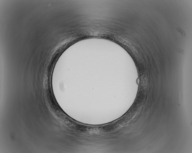 X0000111210587200908121134