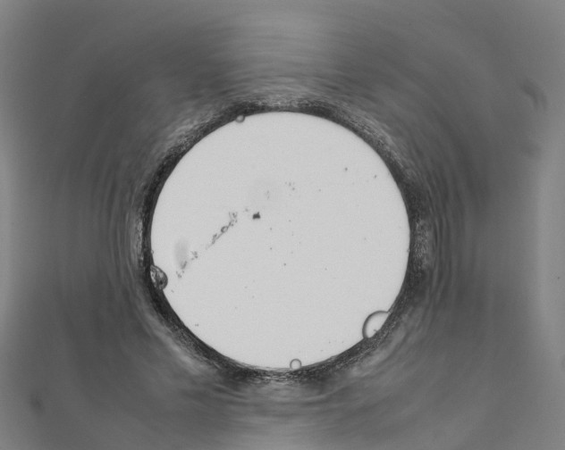 X0000111210589200908121134