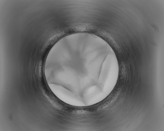 X0000111210590200908121134