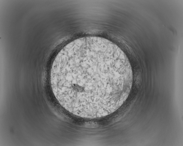 X0000111210591200908121134