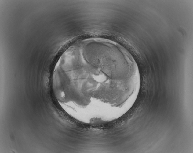 X0000111210592200908121134